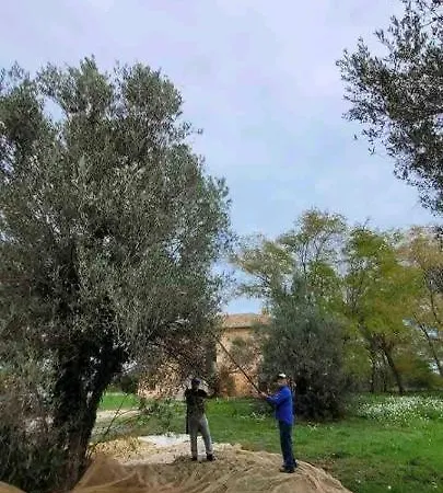 Casale Costa Dei Trabocchi Nocleg ze śniadaniem