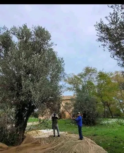 Casale Costa Dei Trabocchi Panzió