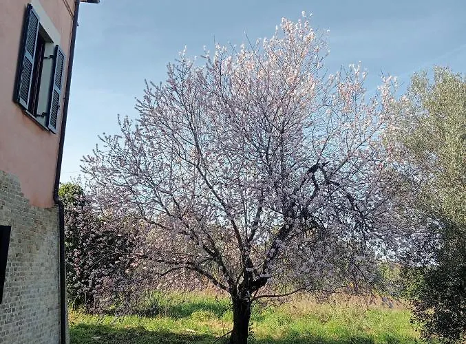 Panzió Casale Costa Dei Trabocchi 3*
