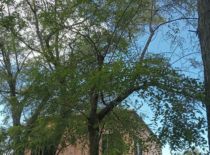 Casale Costa Dei Trabocchi 3*